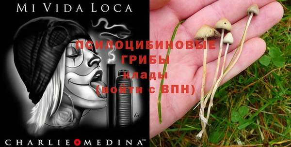 mdpv Заволжье