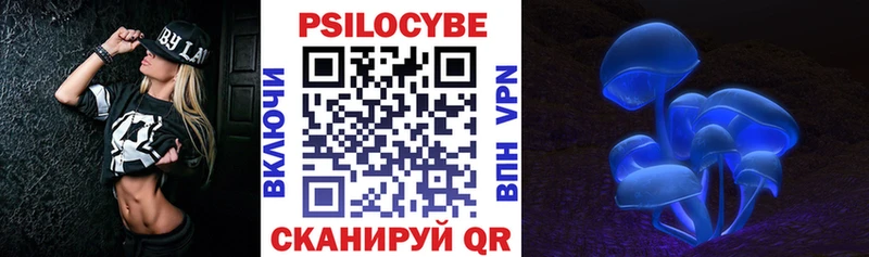 закладки  Рубцовск  mega онион  Псилоцибиновые грибы Psilocybe 